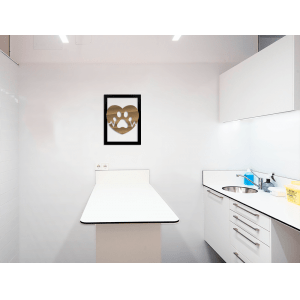 QUADRO DECORATIVO VETERINÁRIO - CORAÇÃO PATA BATIMENTO