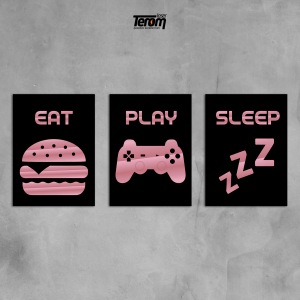 QUADROS DECORATIVOS GEEK - EAT PLAY SLEEP