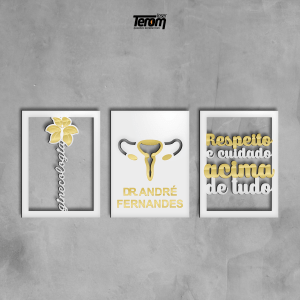 QUADROS DECORATIVOS GINECOLOGIA PERSONALIZADO