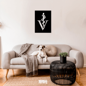 QUADROS DECORATIVOS VETERINÁRIA - SIMBOLO ELITE