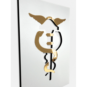 QUADRO DECORATIVO CONTABILIDADE CADUCEU CALCULADORA ( KIT 3 PEÇAS ) 